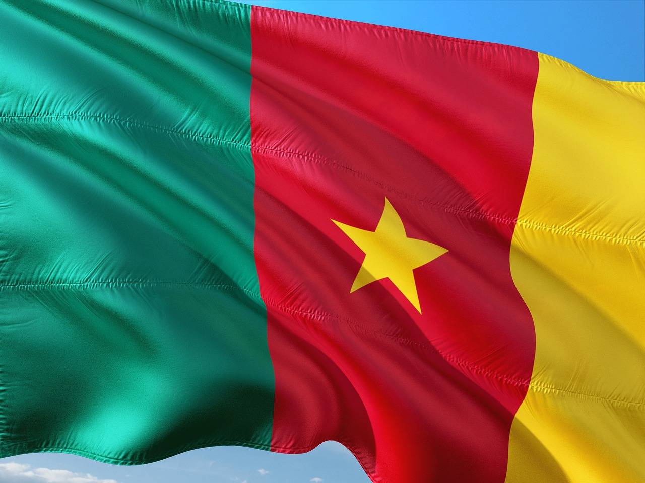 Flag of Cameroon. (Credit: Pixabay.)